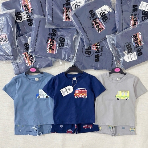 SET 3 BỘ CỘC TAY Ô TÔ XANH XÁM