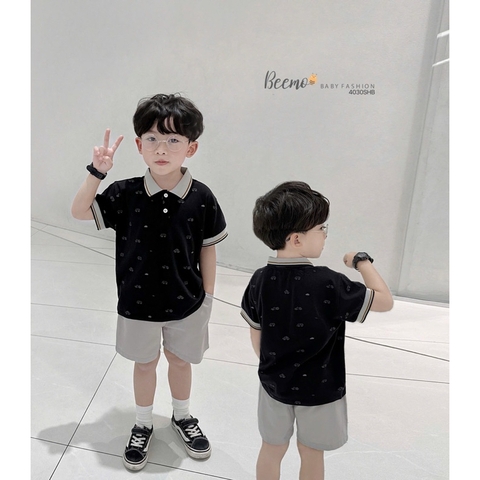 SET BỘ POLO IN TRÀN Ô TÔ