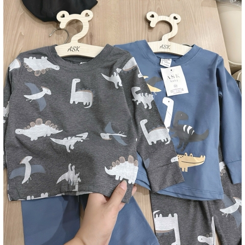 SET 2 BỘ DÀI TAY KHỦNG LONG XÁM XANH