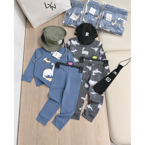 SET 2 BỘ DÀI TAY KHỦNG LONG XÁM XANH