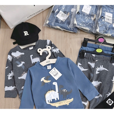 SET 2 BỘ DÀI TAY KHỦNG LONG XÁM XANH