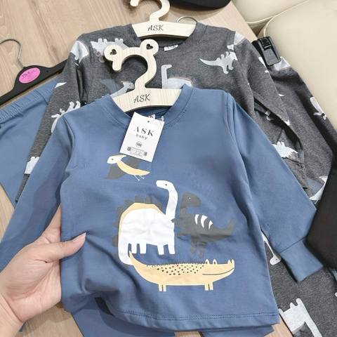 SET 2 BỘ DÀI TAY KHỦNG LONG XÁM XANH