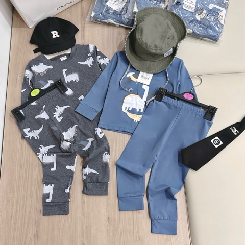 SET 2 BỘ DÀI TAY KHỦNG LONG XÁM XANH