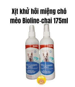 Xịt thơm miệng Clean Up 50ML