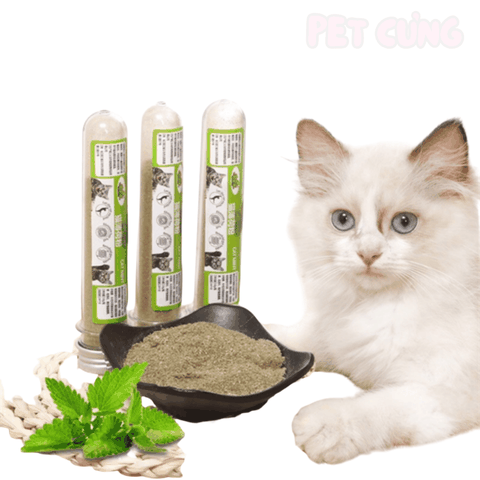 Catnip cho mèo làm từ cỏ mèo giúp mèo thư giãn và vui chơi - Pet Cưng