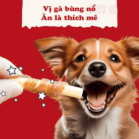 Que cuốn thịt gà mini Doggyman bánh thưởng huấn luyện cho chó 20 cây