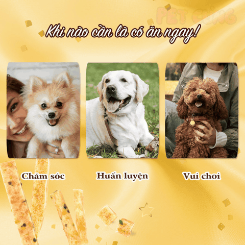 Que gà nướng mềm Doggyman SAYA bổ sung rau củ cho chó 100g - Pet Cưng