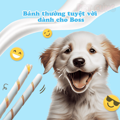 Que gặm vị sữa Doggyman snack cho chó thơm miệng 120g - Pet Cưng