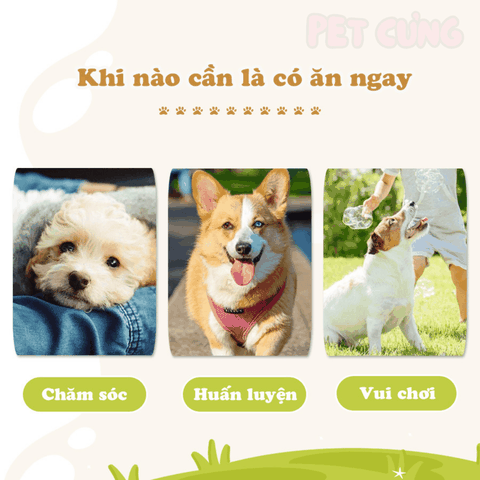 Xương da bò tự nhiên Doggyman cho chó gặm sạch răng 5 cây - Pet Cưng