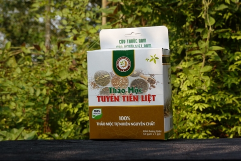 Thảo mộc tuyến tiền liệt