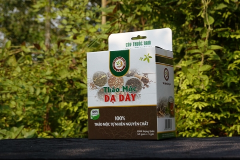 Thảo mộc dạ dày