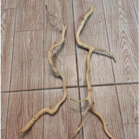 Lũa đỗ quyên loại ngắn trang trí bể cá, đồ chơi leo chèo cho ốc mượn hồn