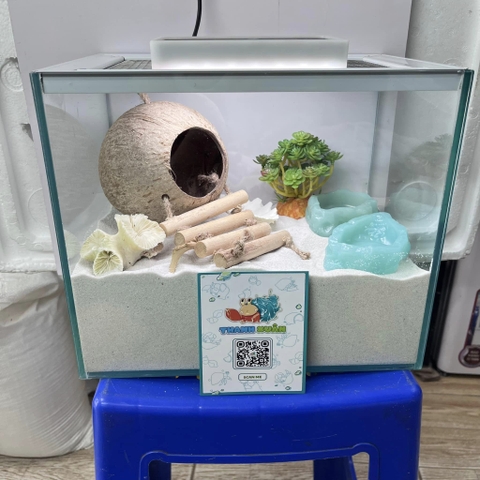 Combo nuôi ốc mượn hồn đầy đủ phụ kiện (  không kèm đèn ) MS1