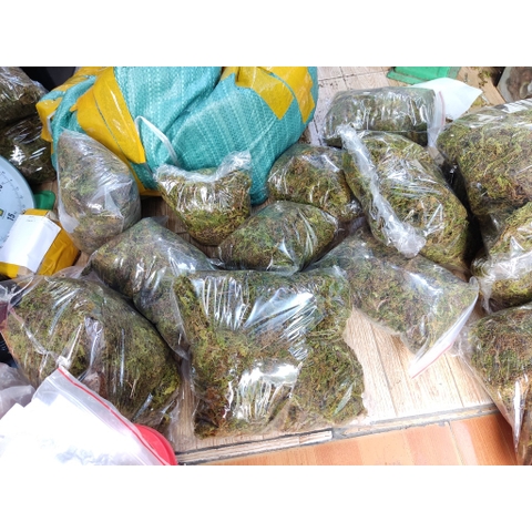 1kg Rêu rừng khô giá sỉ xanh mướt giữ ẩm cho cây, ếch, ốc, nhện,...