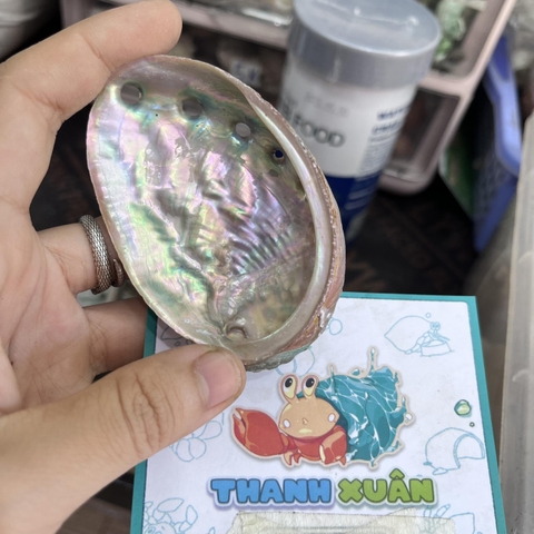 Bát ăn cho ốc mượn hồn nhỏ vân xà cừ lấp lánh 6-7cm