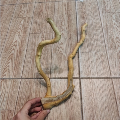 Lũa đỗ quyên loại ngắn trang trí bể cá, đồ chơi leo chèo cho ốc mượn hồn