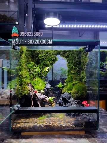 Bể bán cạn nuôi cua ma cà rồng kích thước 30x20x30 - mẫu 01