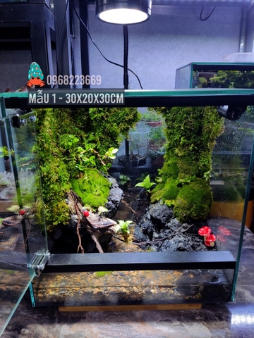 Bể bán cạn nuôi cua ma cà rồng kích thước 30x20x30 - mẫu 01