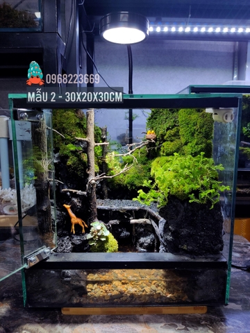 Bể bán cạn chuyên dụng nuôi cua ma cà rồng 30x20x30cm - mẫu 02