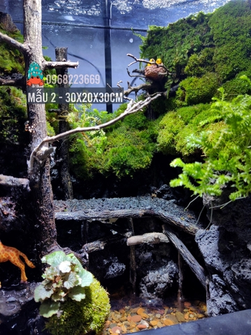 Bể bán cạn chuyên dụng nuôi cua ma cà rồng 30x20x30cm - mẫu 02