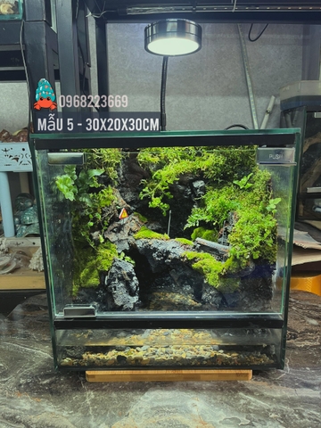 Bể bán cạn chuyên dụng nuôi cua ma cà rồng 30x20x30cm - mẫu 05