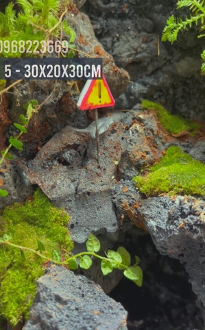 Bể bán cạn chuyên dụng nuôi cua ma cà rồng 30x20x30cm - mẫu 05