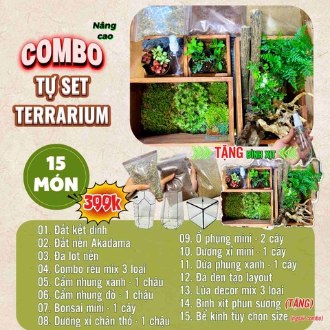 Combo terrarium, combo tự làm terrarium, combo setup terrarium 11 món