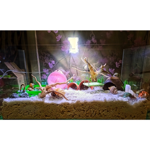 Cát trắng thủy sinh bịch 1000 gram