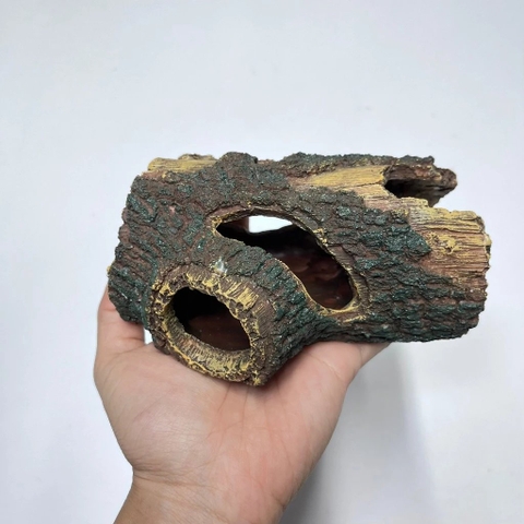 Hang hốc cây 13.5x9x5.5cm