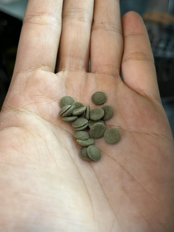 Thức ăn chuyên dụng cho ốc mượn hồn