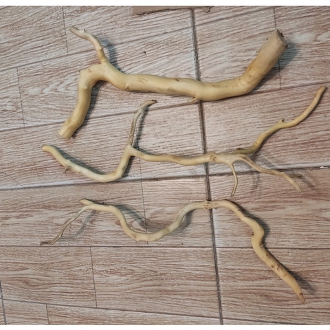 Lũa đỗ quyên loại ngắn trang trí bể cá, đồ chơi leo chèo cho ốc mượn hồn