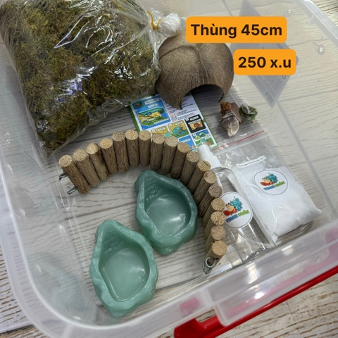 COMBO nuôi ốc mượn hồn baby ,xs ,s , M 45CM - Mã HN-250