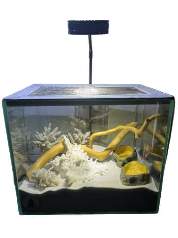 Combo nuôi ốc mượn hồn đầy đủ phụ kiện ( không kèm đèn ) MS4