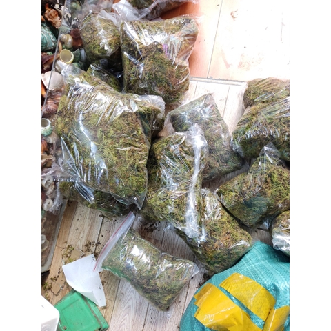 1kg Rêu rừng khô giá sỉ xanh mướt giữ ẩm cho cây, ếch, ốc, nhện,...