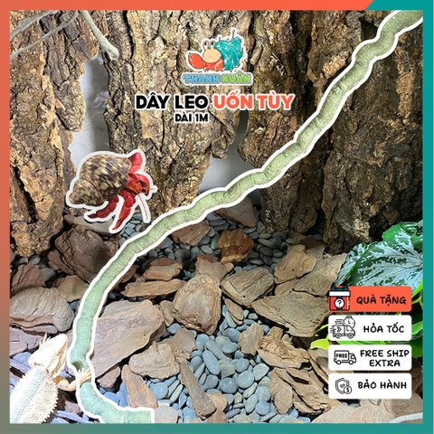 Dây leo trang chí chuồng nuôi cho ốc mượn hồn và bò sát nhỏ dài 1M - chất liệu nhựa PU - màu xanh