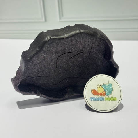 Đĩa thức ăn bát đựng nước màu đen