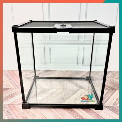 Combo nuôi ốc mượn hồn đầy đủ phụ kiện ( không kèm đèn ) B880