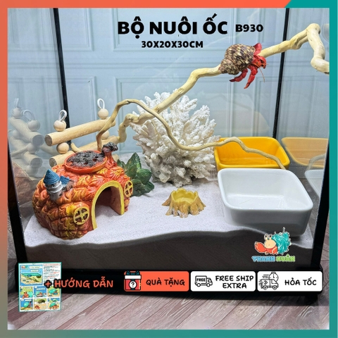 Combo nuôi ốc mượn hồn đầy đủ phụ kiện ( không kèm đèn ) B930