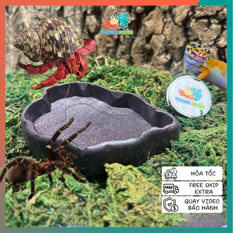 Đĩa thức ăn bát đựng nước màu đen