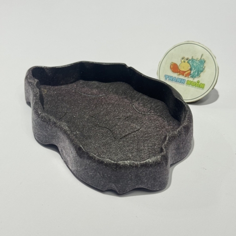 Đĩa thức ăn bát đựng nước màu đen