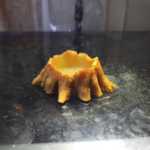 Bát ăn mini hình gốc cây xinh xắn cho thú cưng nhỏ