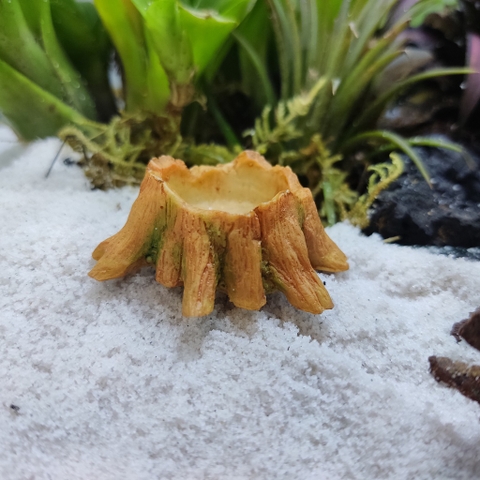 Bát ăn mini hình gốc cây xinh xắn cho thú cưng nhỏ