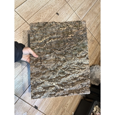 Tấm cork vỏ cây gỗ sồi làm nền chuồng nuôi tạo cảm giác thiên nhiên