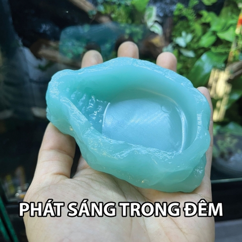 Bát ăn chén nước chén ăn cho bò sát ốc mượn hồn