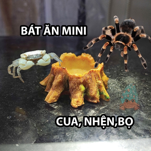 Bát ăn mini hình gốc cây xinh xắn cho thú cưng nhỏ