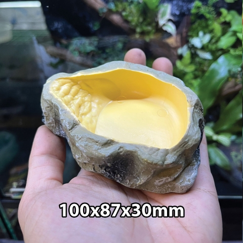 Bát ăn chén nước chén ăn cho bò sát ốc mượn hồn