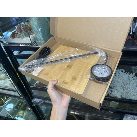 Đèn đế gỗ 5w trang trí bể cây hoặc bể thú cưng