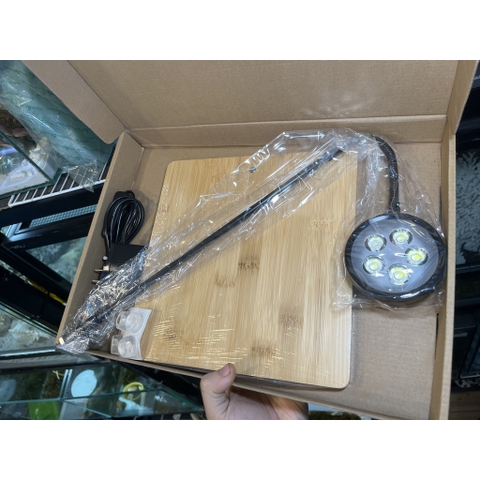 Đèn đế gỗ 5w trang trí bể cây hoặc bể thú cưng