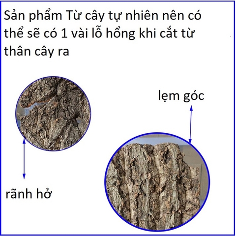 Tấm cork vỏ cây gỗ sồi làm nền chuồng nuôi tạo cảm giác thiên nhiên