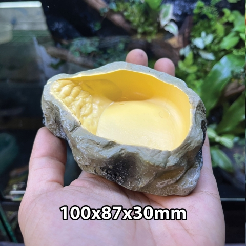 Bát ăn chén nước chén ăn cho bò sát ốc mượn hồn